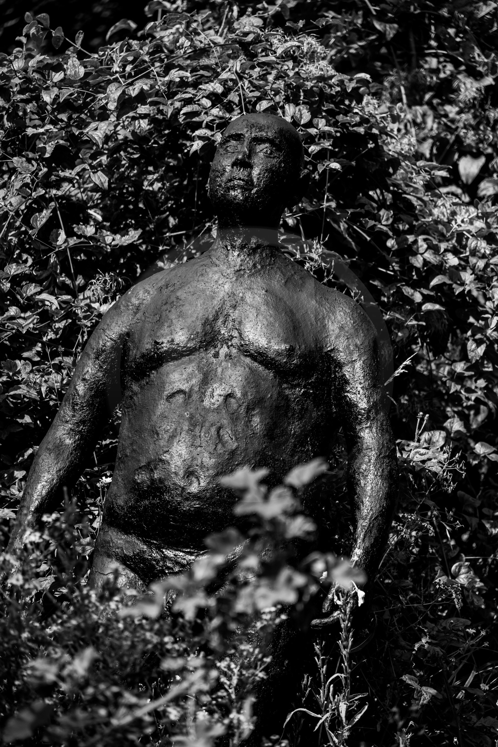 Exposition La forêt d'hommes, une création de Barbara Fougnon, artiste plasticienne