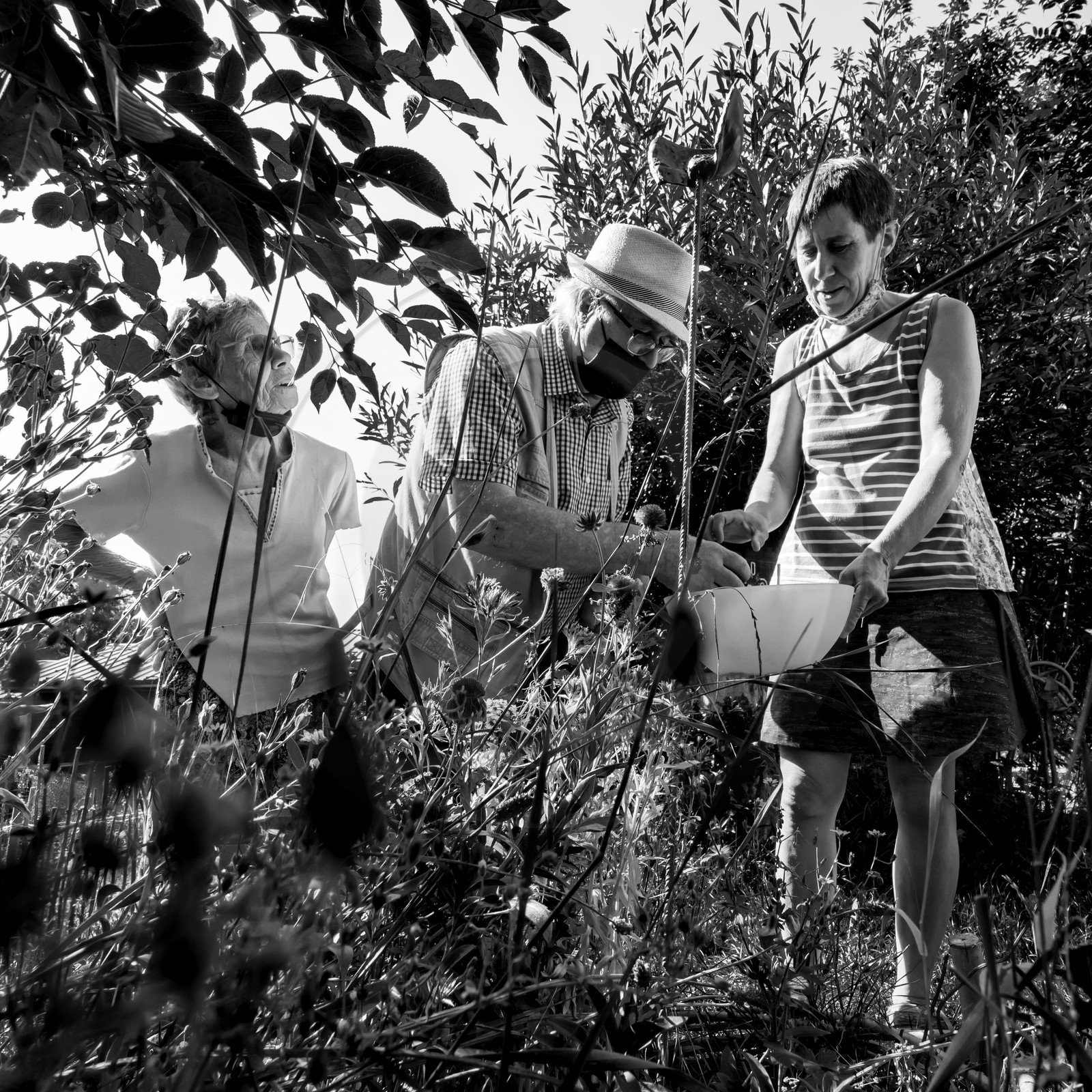 16 août 2021 : Journée des aidants