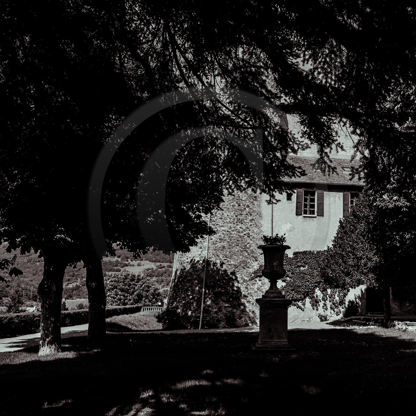 Le Château de Montmaur