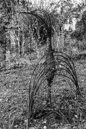 22 octobre 2025 : Aprés-midi détente