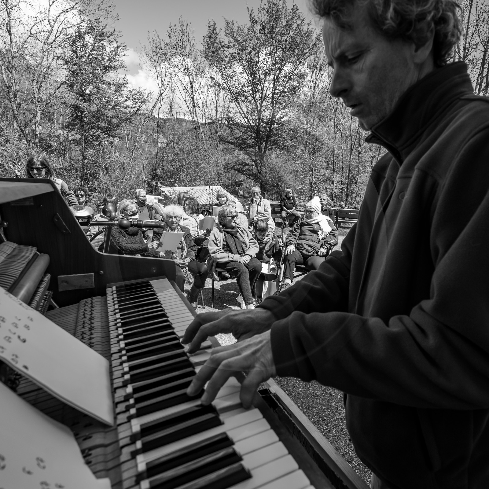 Animation musicale avec Philippe Séranne