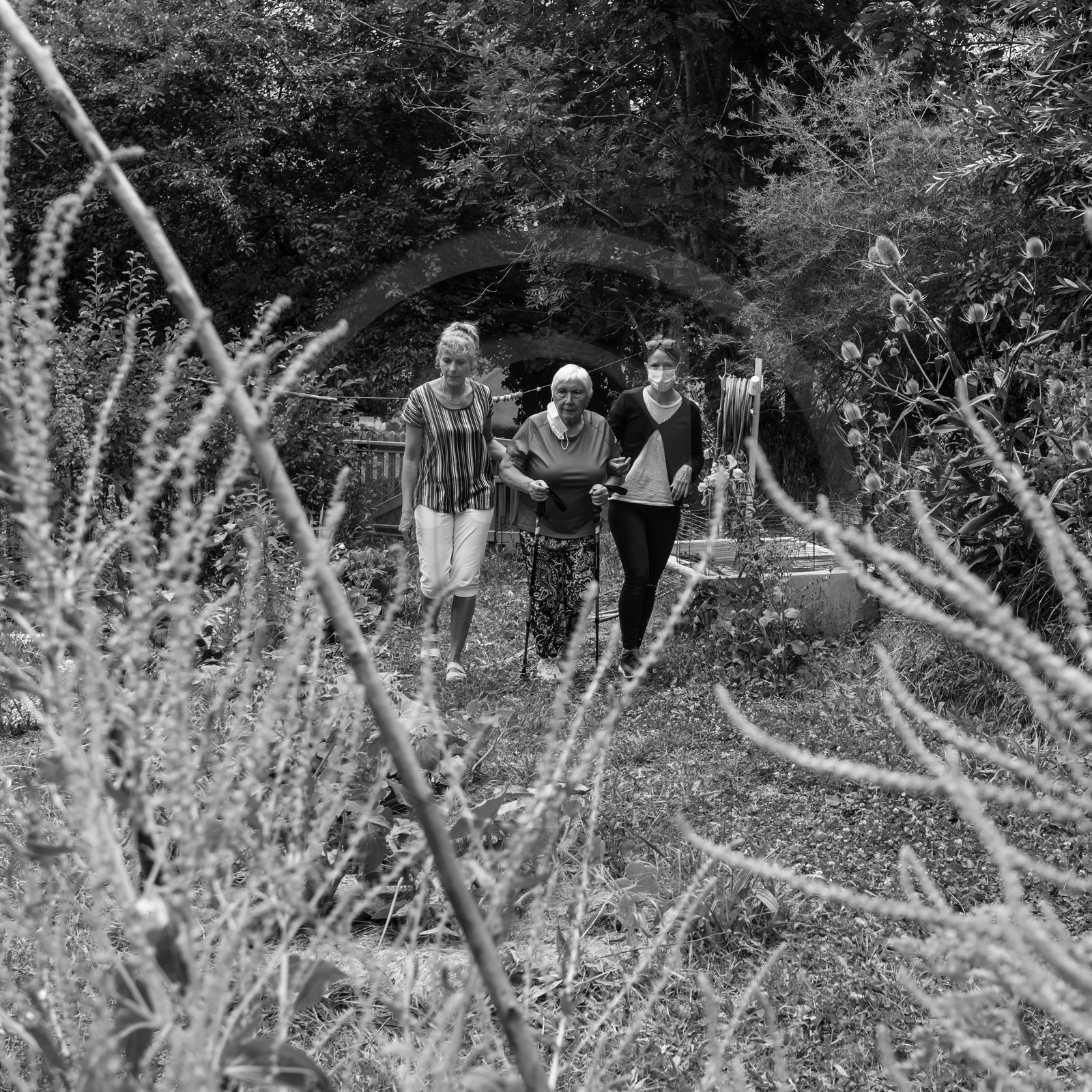 Promenades au jardin