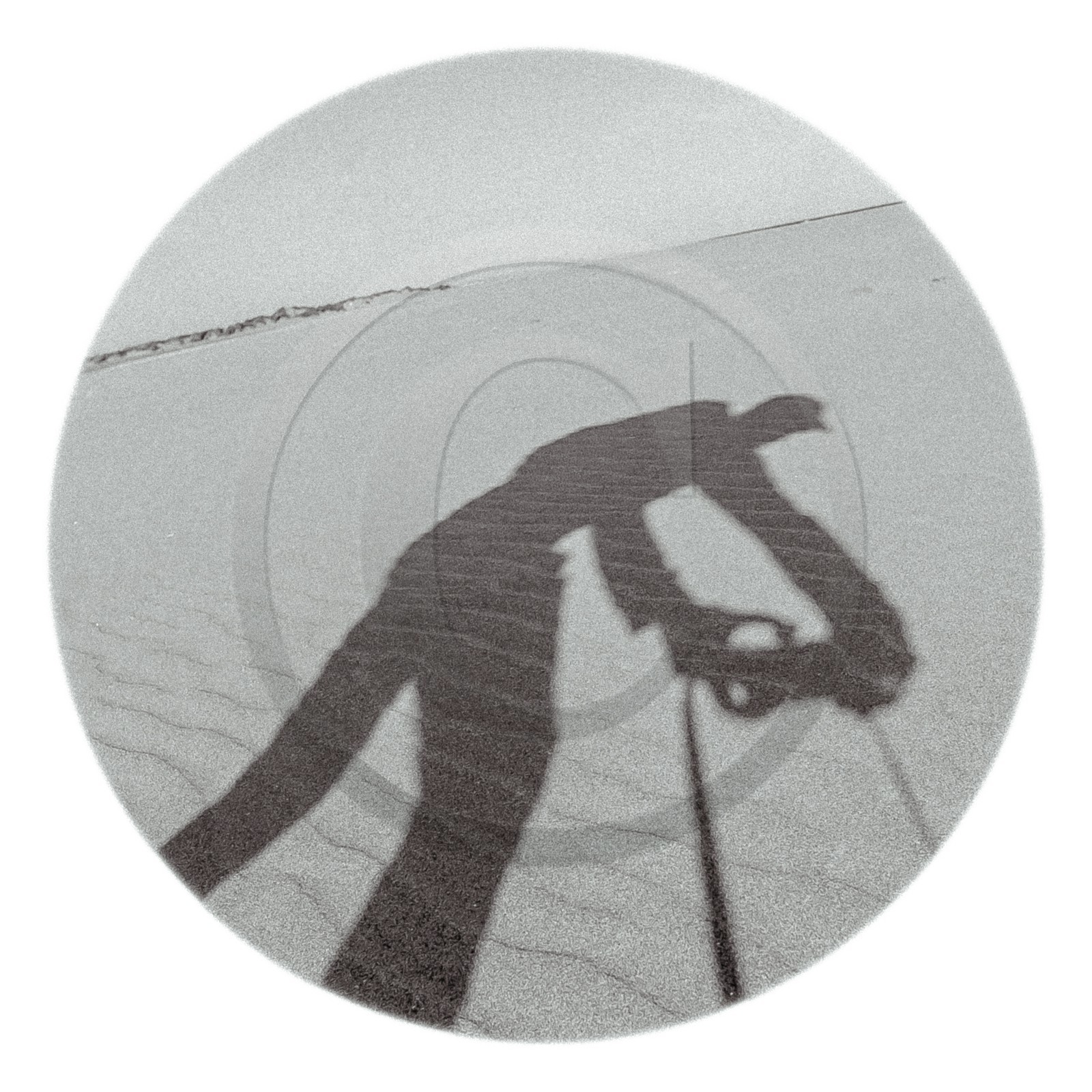 Les instants Camargue