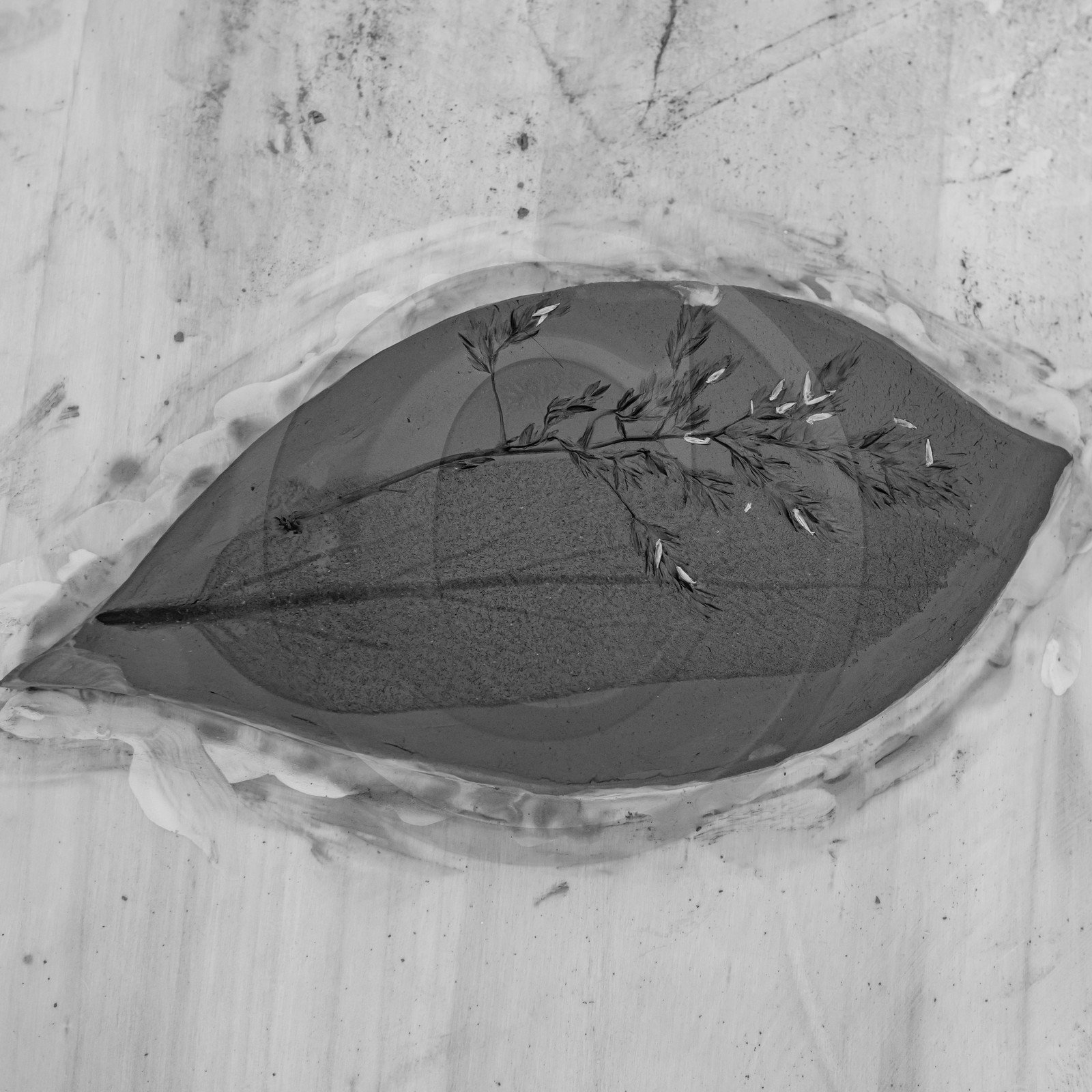 28 juin 2021 : Journée des aidants à l'Ouort.