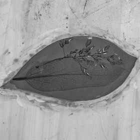 28 juin 2021 : Journée des aidants à l'Ouort.