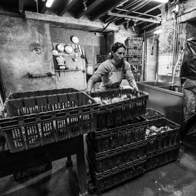 Maraichage biologique dans le Champsaur