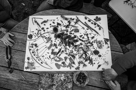 12 octobre 2022 : Land Art à l'Ouort