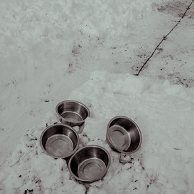 La Valgaude Traineau 2015