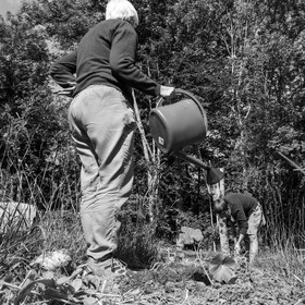 07 juin 2017 - Plantation - Haie - Réunion