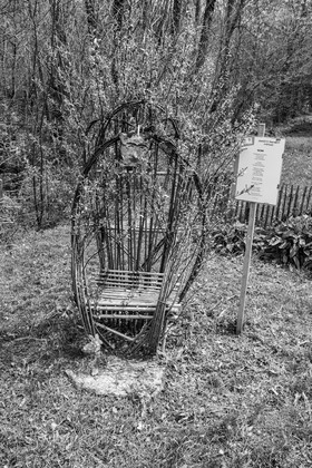 23 avril 2025 : Des oiseaux et des plantes