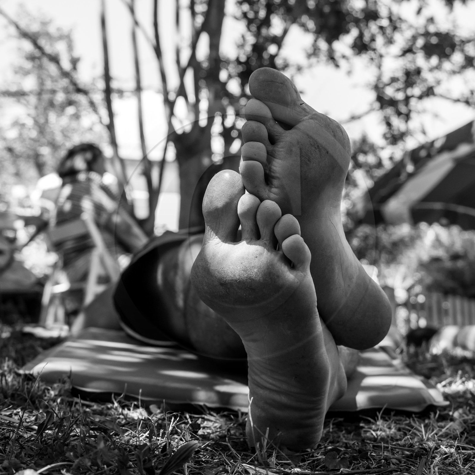 07 août 2017 - Sieste Musicale