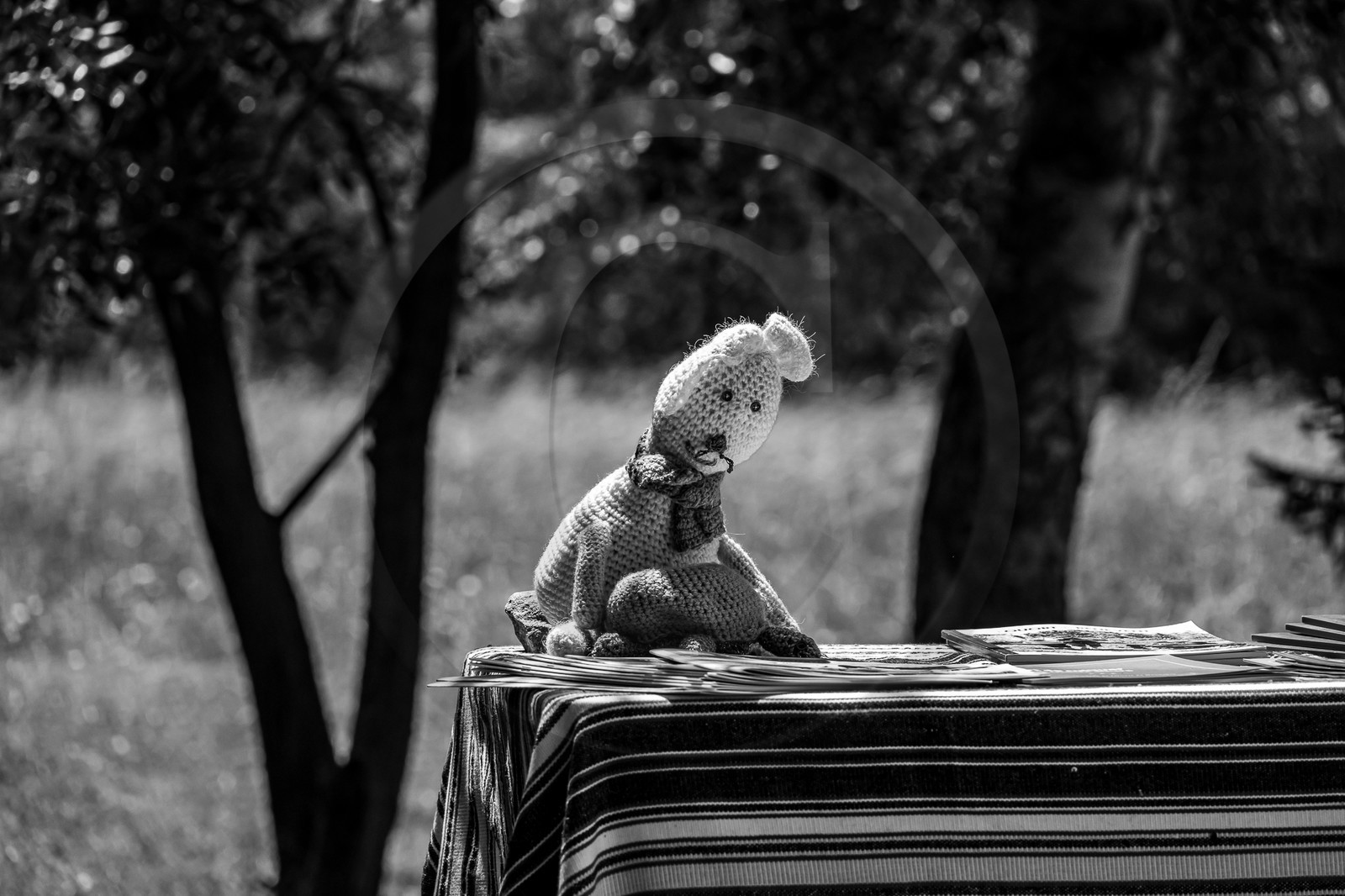 17 juillet 2023 : Journée des aidants et des aidés