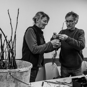 03 avril 2019 : Initiation à la greffe d'arbres fruitiers