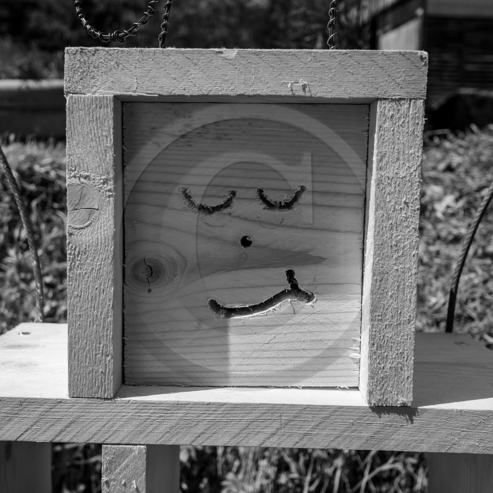 19 mai 2021 : Quelques instants à l'Ouort