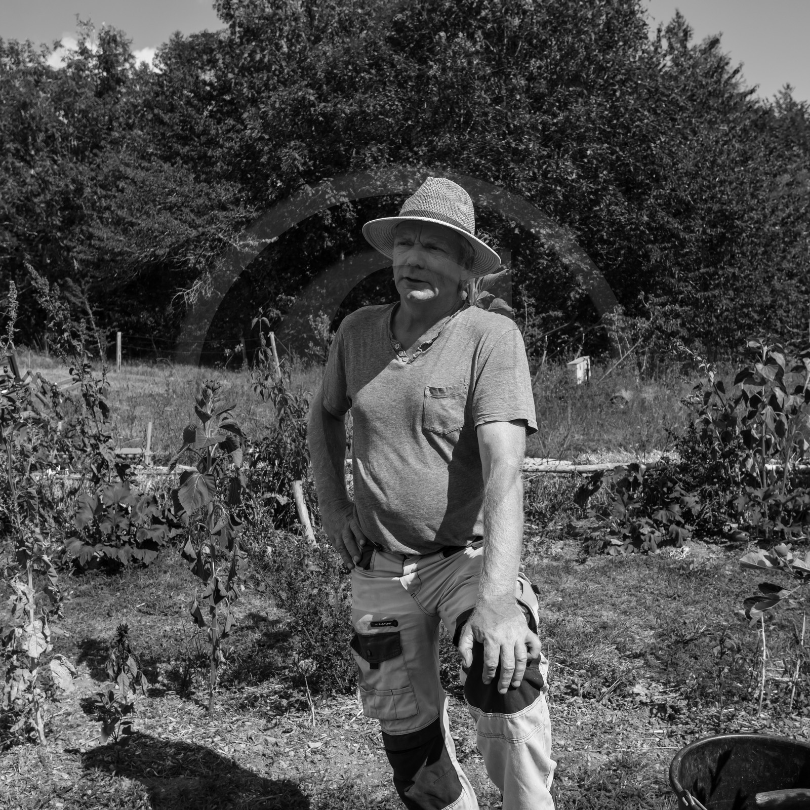 04 septembre 2019 : Visite au jardin des Hautes Terres