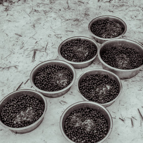 La Valgaude Traineau 2015