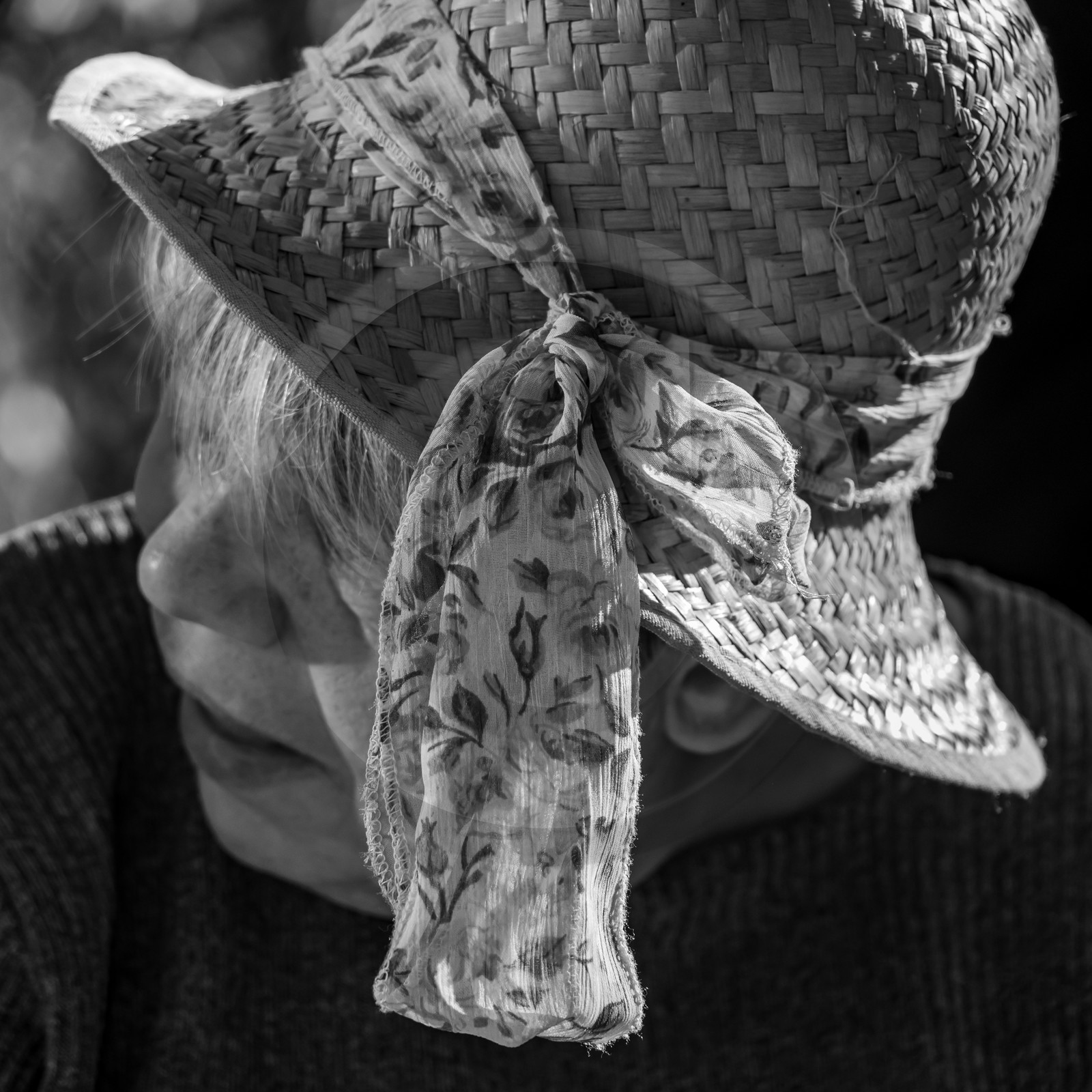 27 octobre 2021 : Un sentier et une réunion