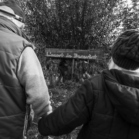 27 octobre 2019 : pommes, soupes et gâteaux