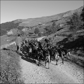 La ferme des Cabrioles