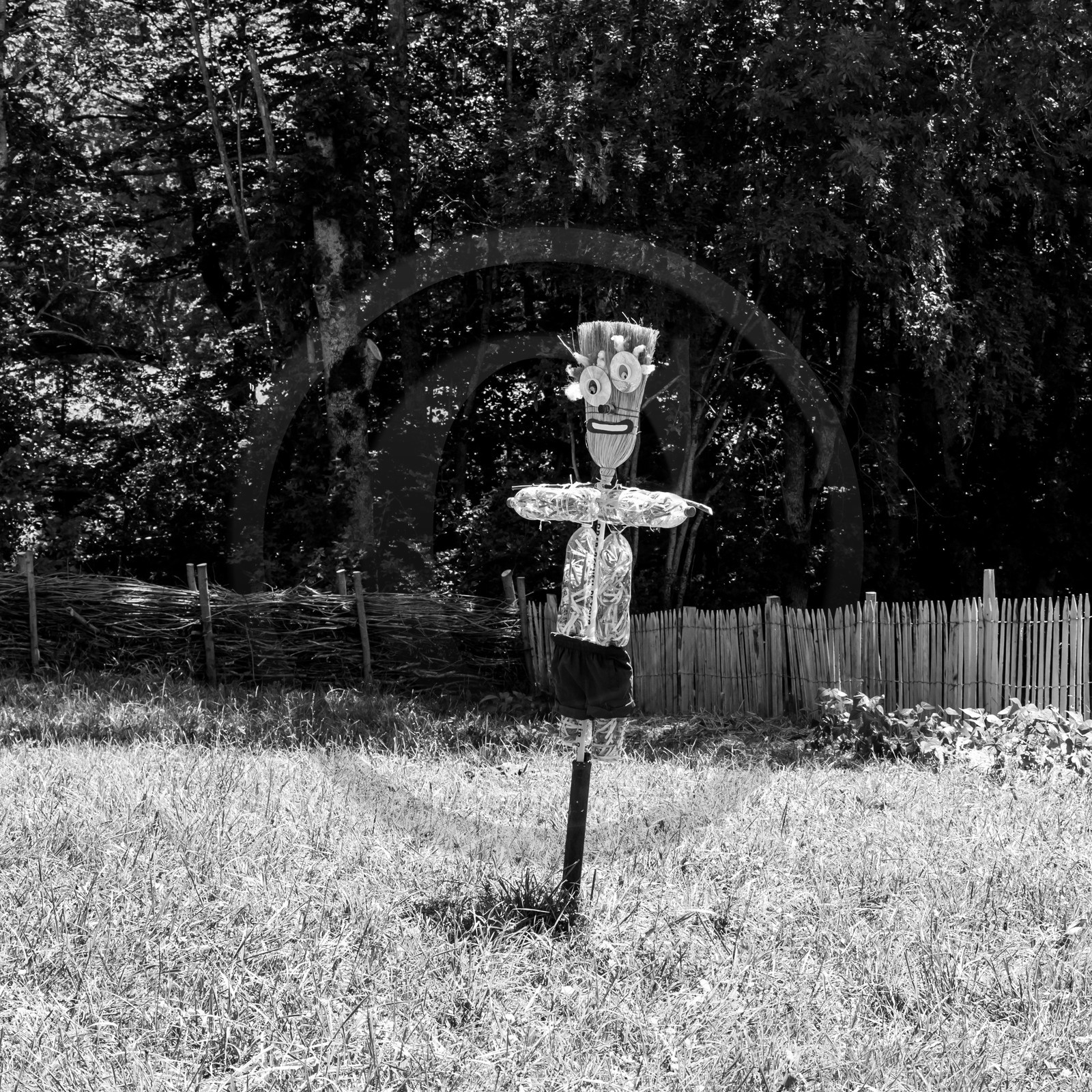 05 juillet 2017 - Installation épouvantails