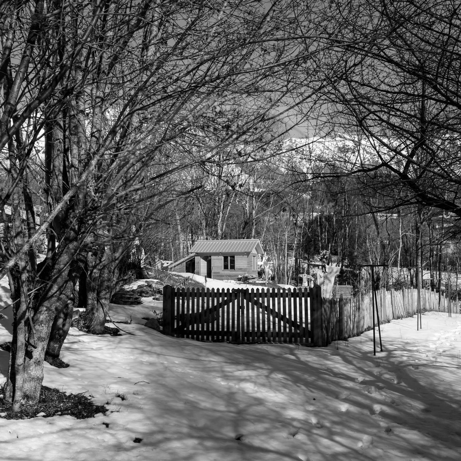 06 février 2019 : la pose des nichoirs