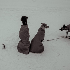 La Valgaude Traineau 2015