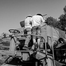 Les moissons dans le Champsaur