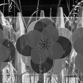 12 juin 2019 : Après-midi au jardin