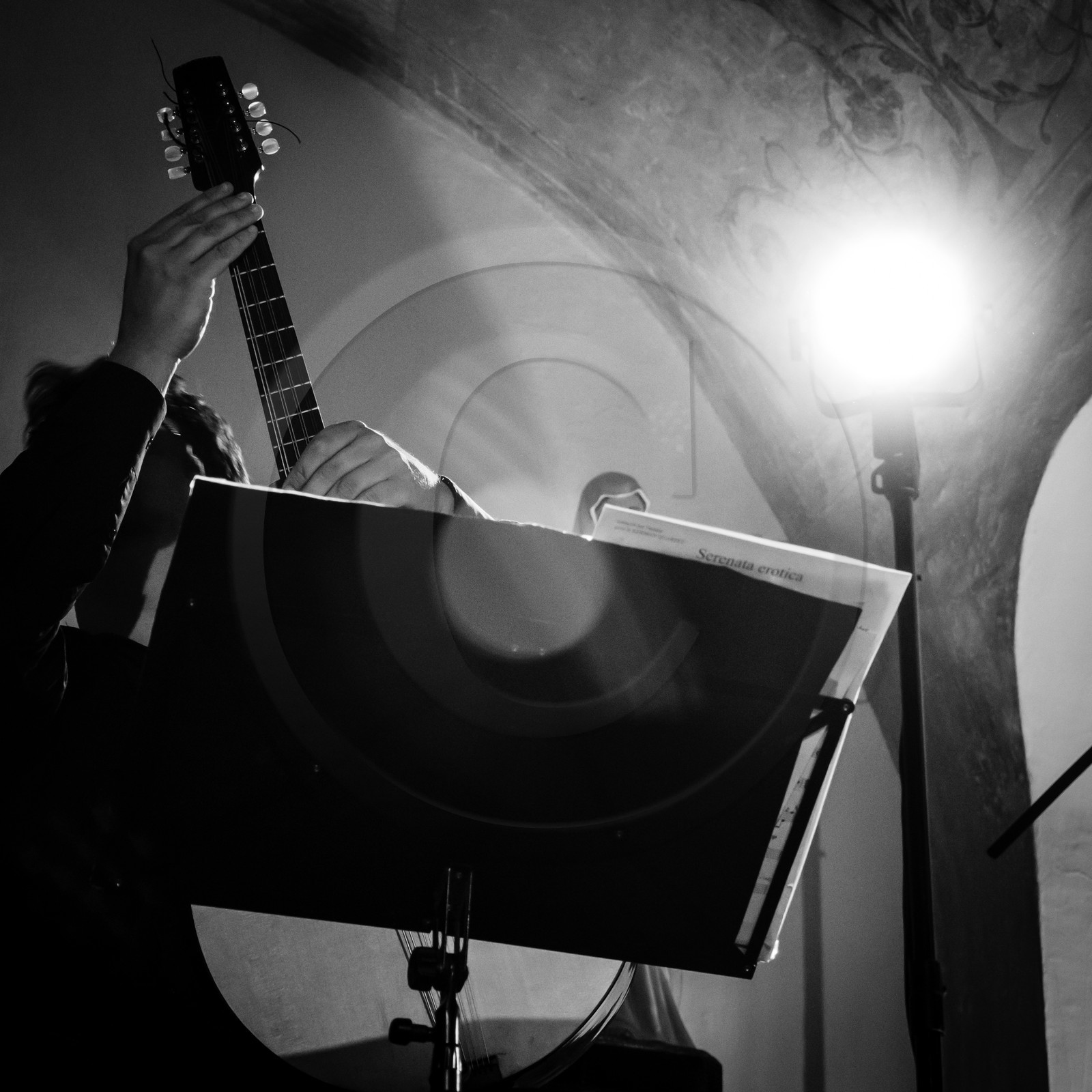 Le Kerman Mandolin Quartet