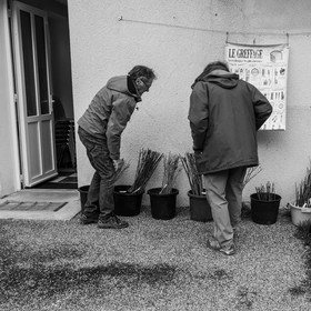 03 avril 2019 : Initiation à la greffe d'arbres fruitiers