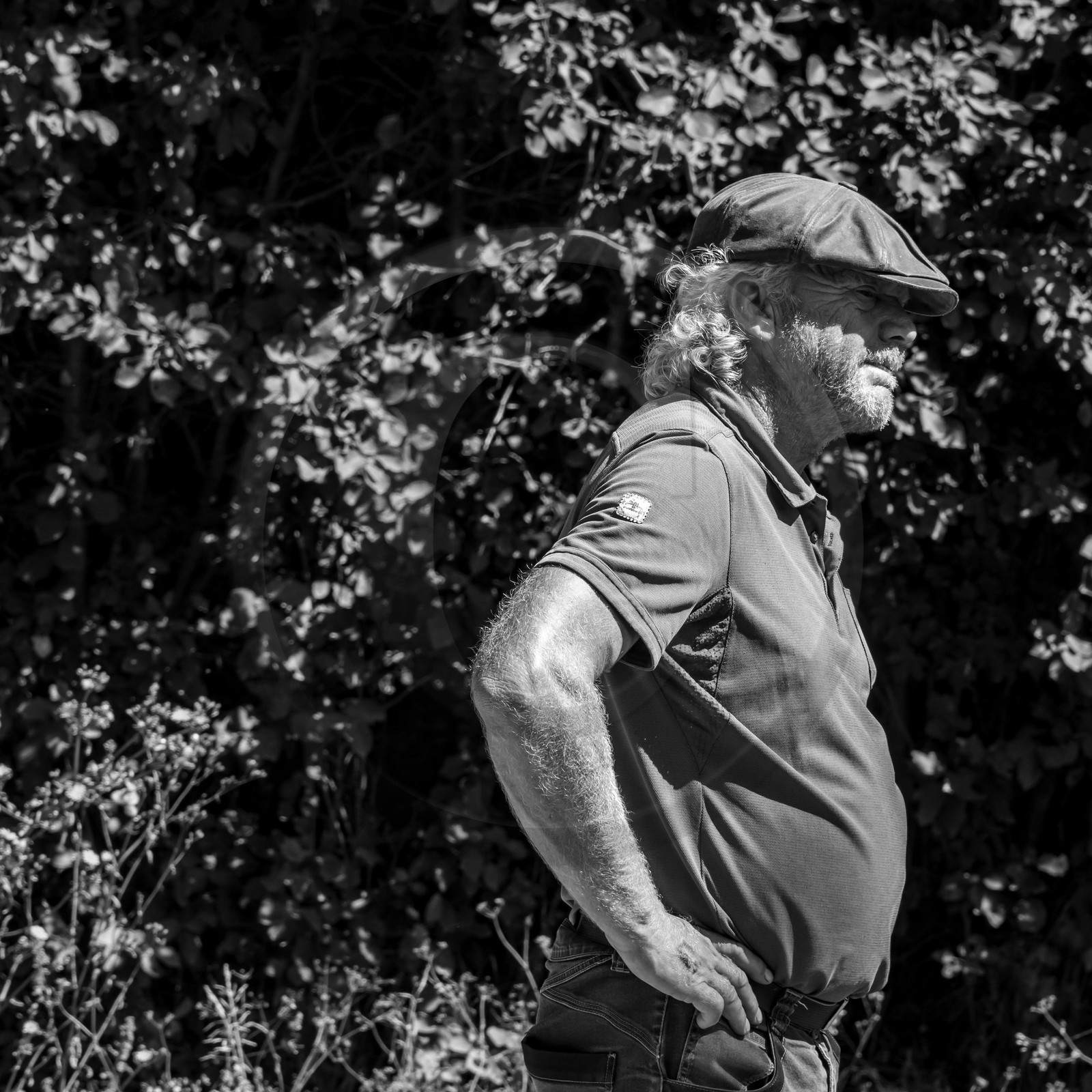 01 septembre 2021 : Promenade en cariole et contes