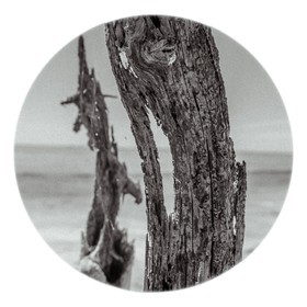 Les instants Camargue