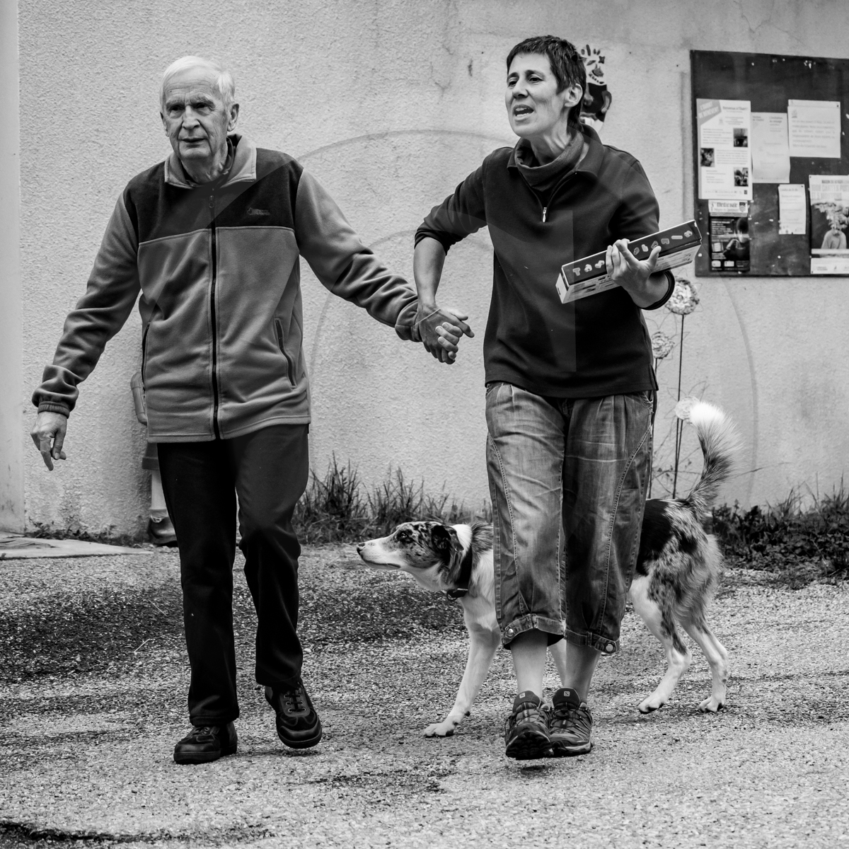 14 septembre 2022 : jeux, laine et promenade