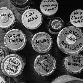 06 juin 2021 : Vide-Jardin et peinture végétale