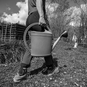 14 avril 2021 : collages, taille, jardinage