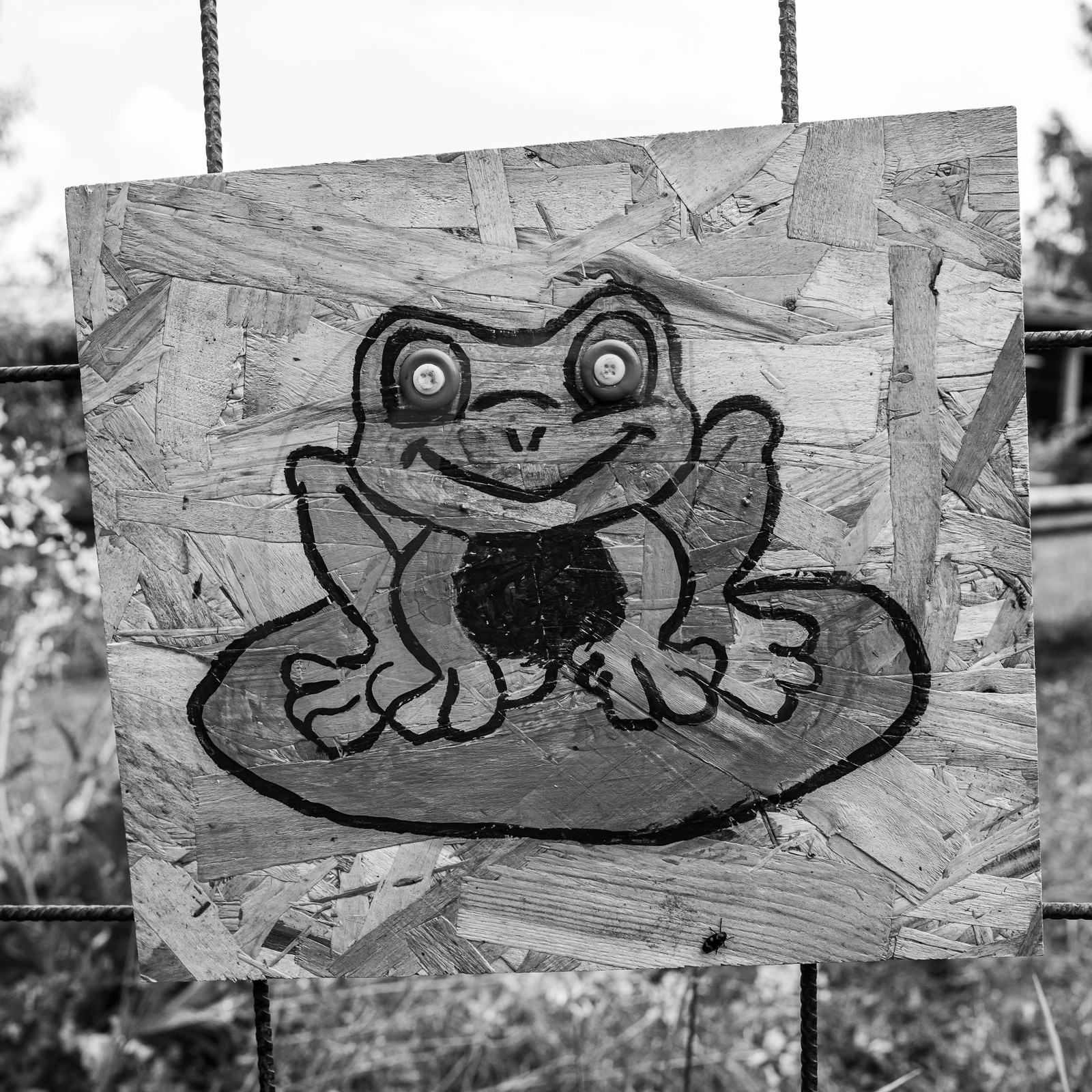 07 juin 2006 : un mercredi à l'Ouort