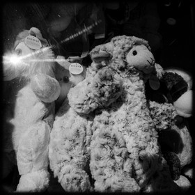 Une montagne de souvenirs