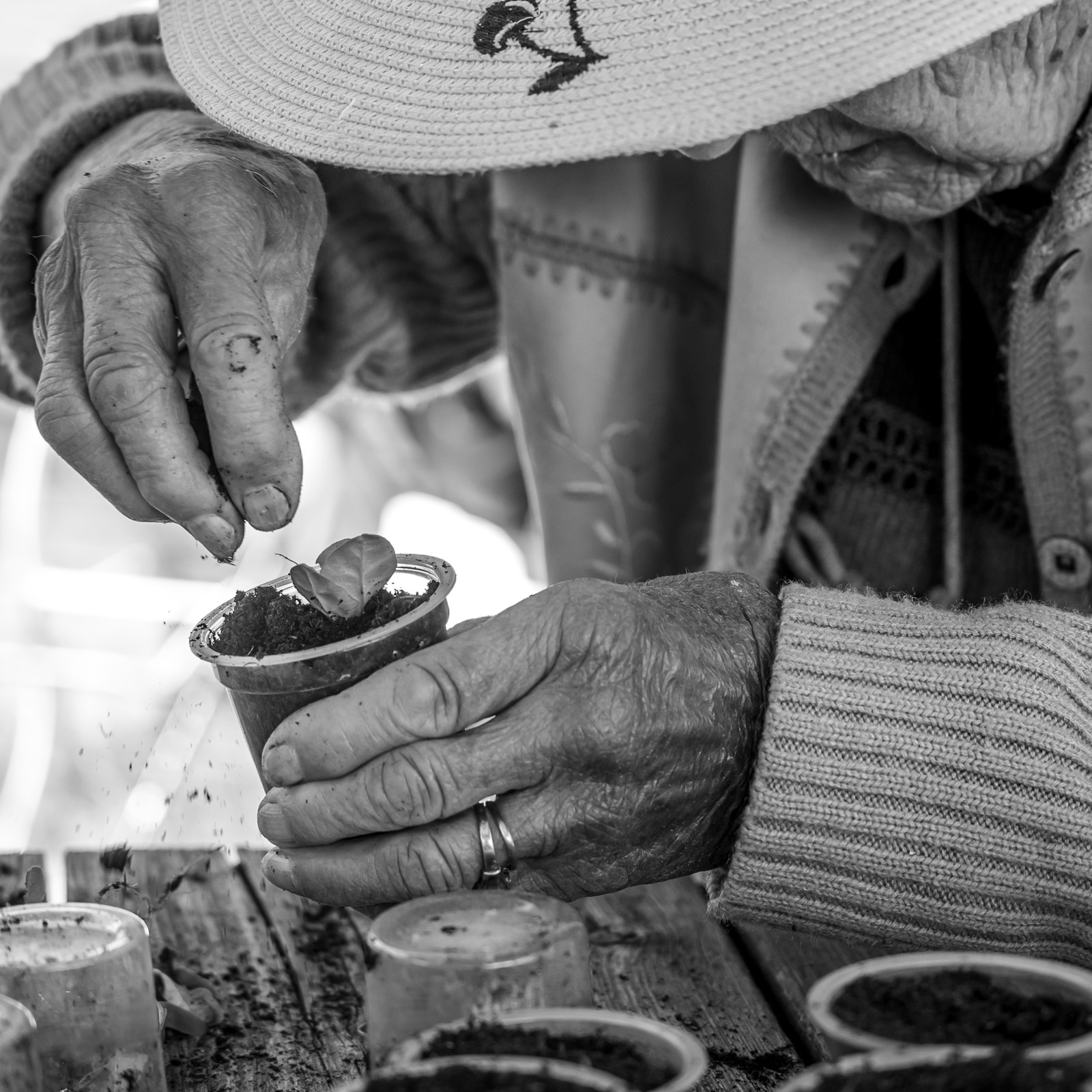 21 mai 2025 : Des photos et des contes