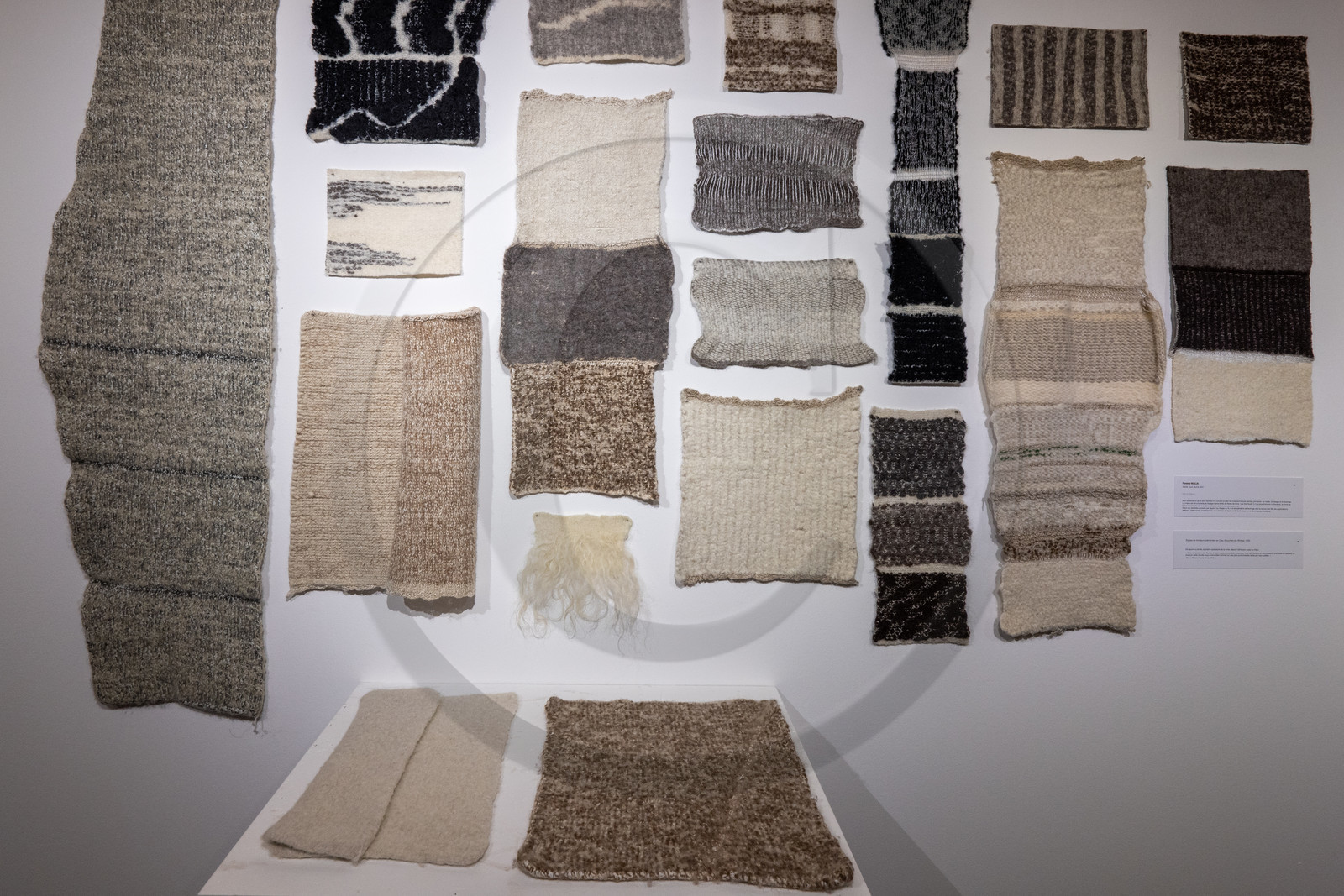 Expositions à la maison du Berger - Champoléon