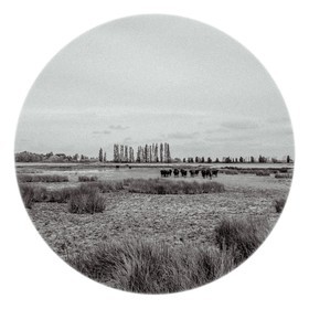 Les instants Camargue