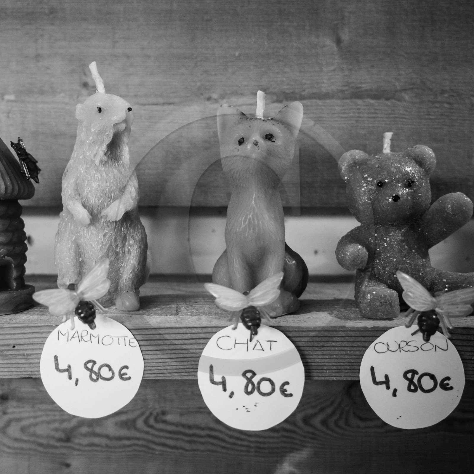 L'extraction du miel