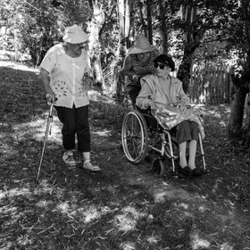 29 juin 2022 : Découverte des plantes sauvages