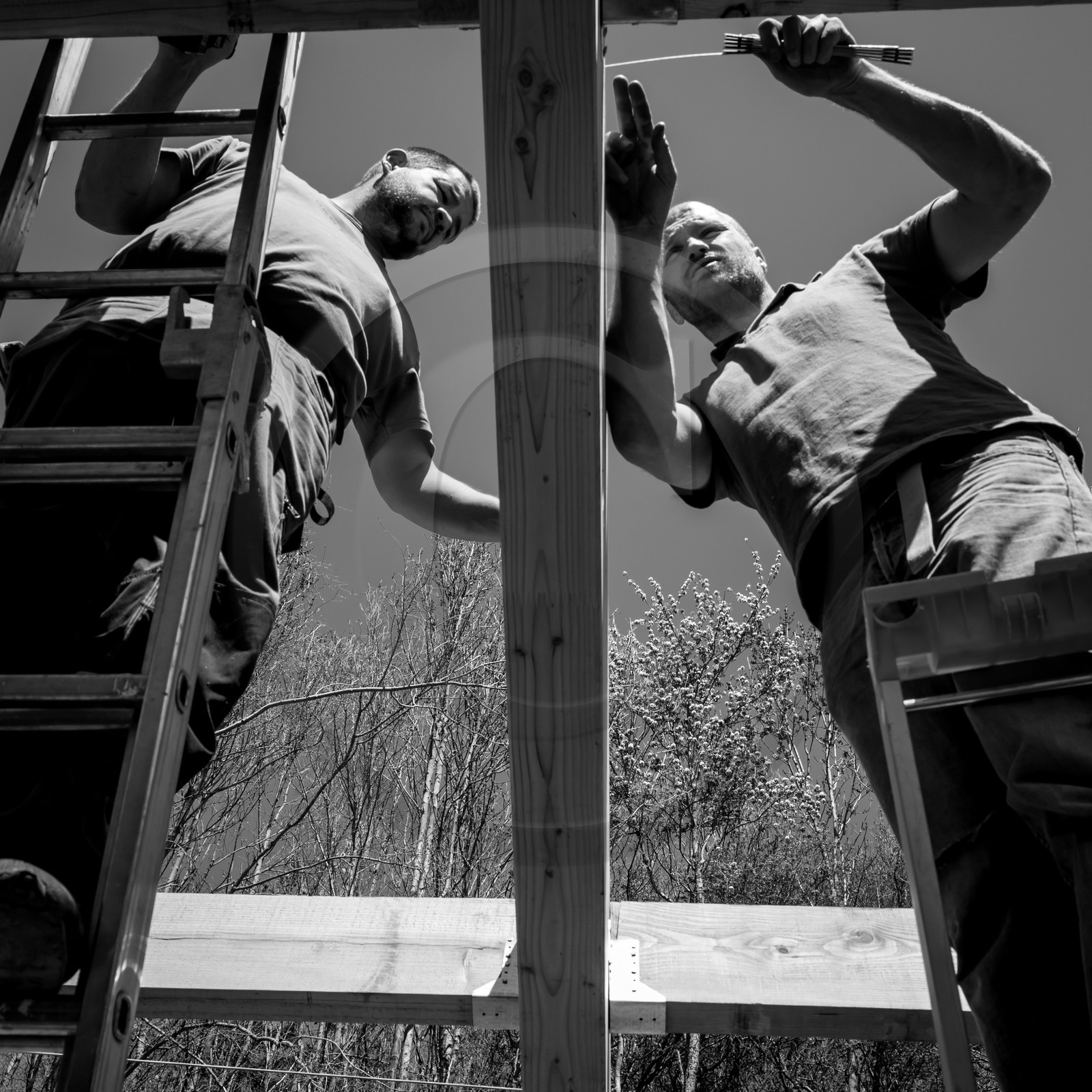 Permaculture - Construction d'une serre bioclimatique semi-enterrée