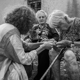 06 septembre 2023 : laine, couture et semis