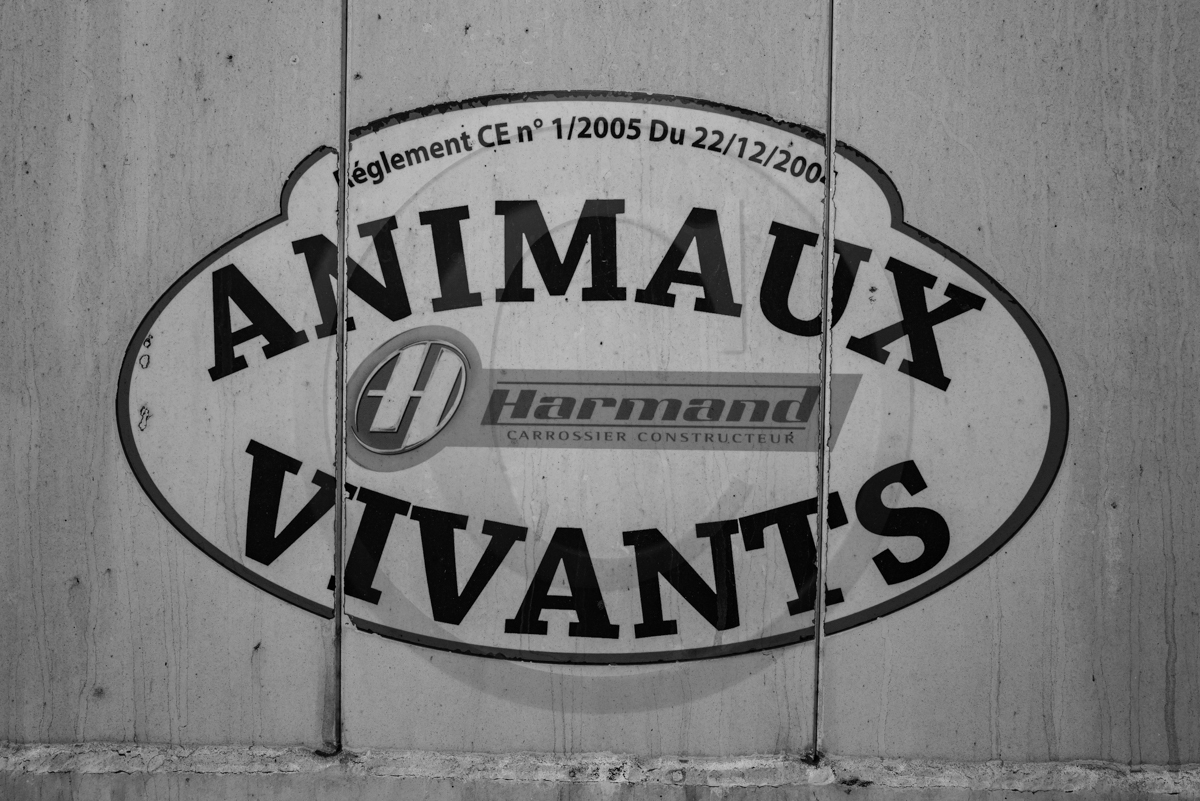 Rencontres paysannes à Saint-Bonnet en Champsaur