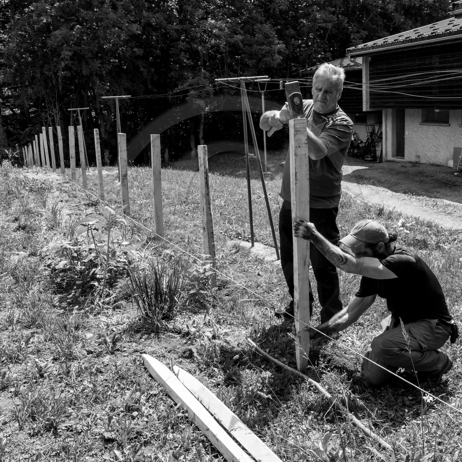 14 juin 2017 - Pose de la clôture