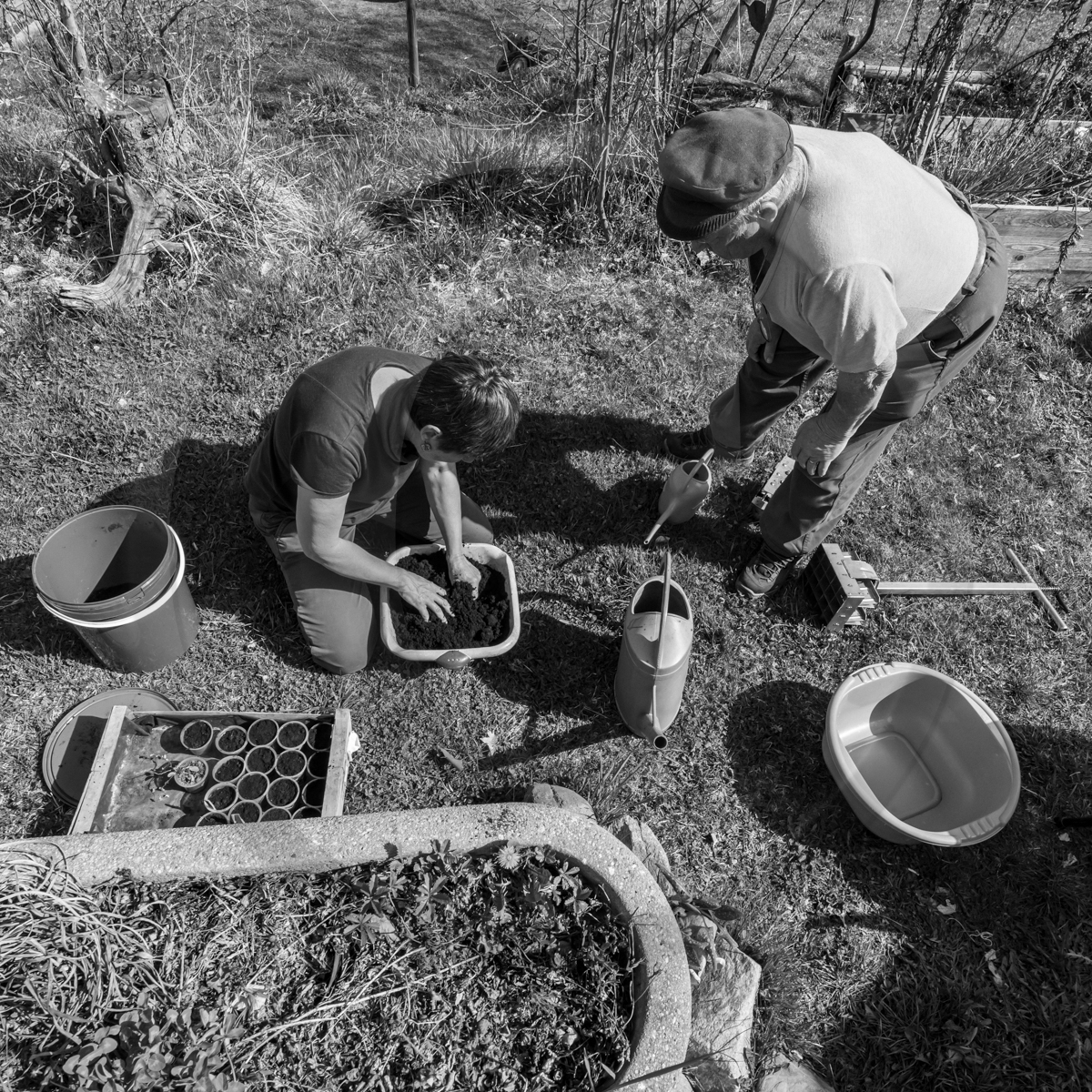 13 avril 2022 : épouvantails et petites graines