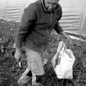 Stéphane Philippe, maraicher à Ancelle