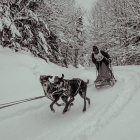 La Valgaude Traineau 2015