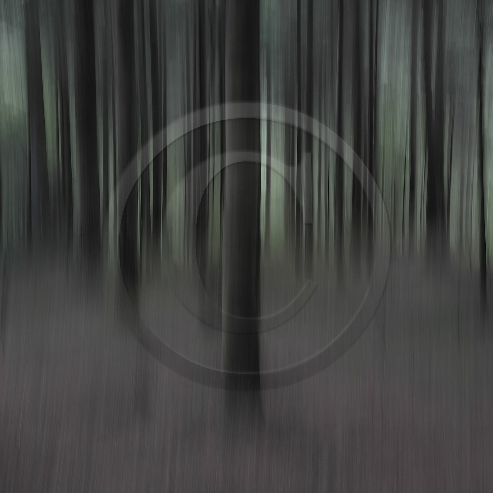 Le Pays des Arbres Flous